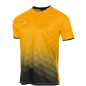 Preview: Stanno Altius Trikot – Amber-Schwarz