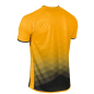Preview: Stanno Altius Trikot – Amber-Schwarz