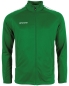 Preview: Herren Trainingsjacke Stanno First Grün
