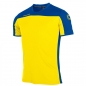 Preview: Stanno Pride Trainingsshirt Kinder Gelb-Blau