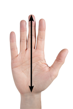 Preview: Derbystar Viper Torwarthandschuhe