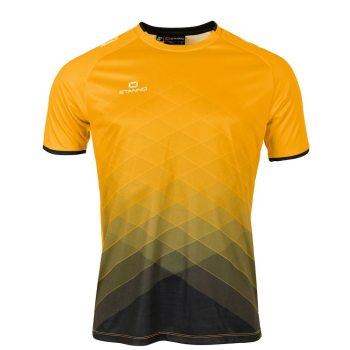 Preview: Stanno Altius Trikot – Amber-Schwarz